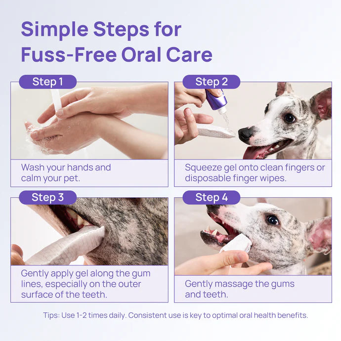 HICC Pet® Antimicrobial Oral Care Gel for Dogs & Cats