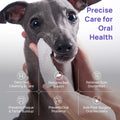 HICC Pet® Antimicrobial Oral Care Gel for Dogs & Cats