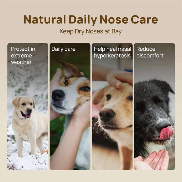 HICC Pet® Nose Butter for Dogs & Cats