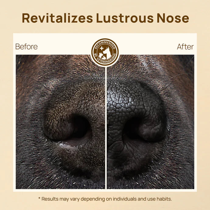 HICC Pet® Nose Butter for Dogs & Cats