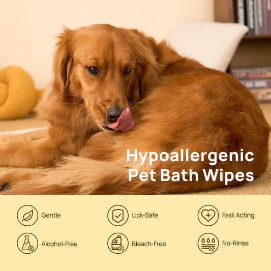 HICC Pet® Portable Deodorizing Glove Wipes — Rose Scent (3-Pack)