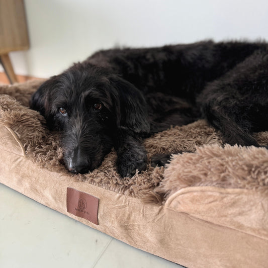 Elysian Orthopaedic & Calming Pet Bed by Komu – For Dogs & Cats | Joint Support | Better Sleep | For Anxiety