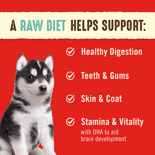 Stella & Chewy's Dog Freeze-Dried Dinner Patties - Perfectly Puppy Beef & Salmon 14oz
