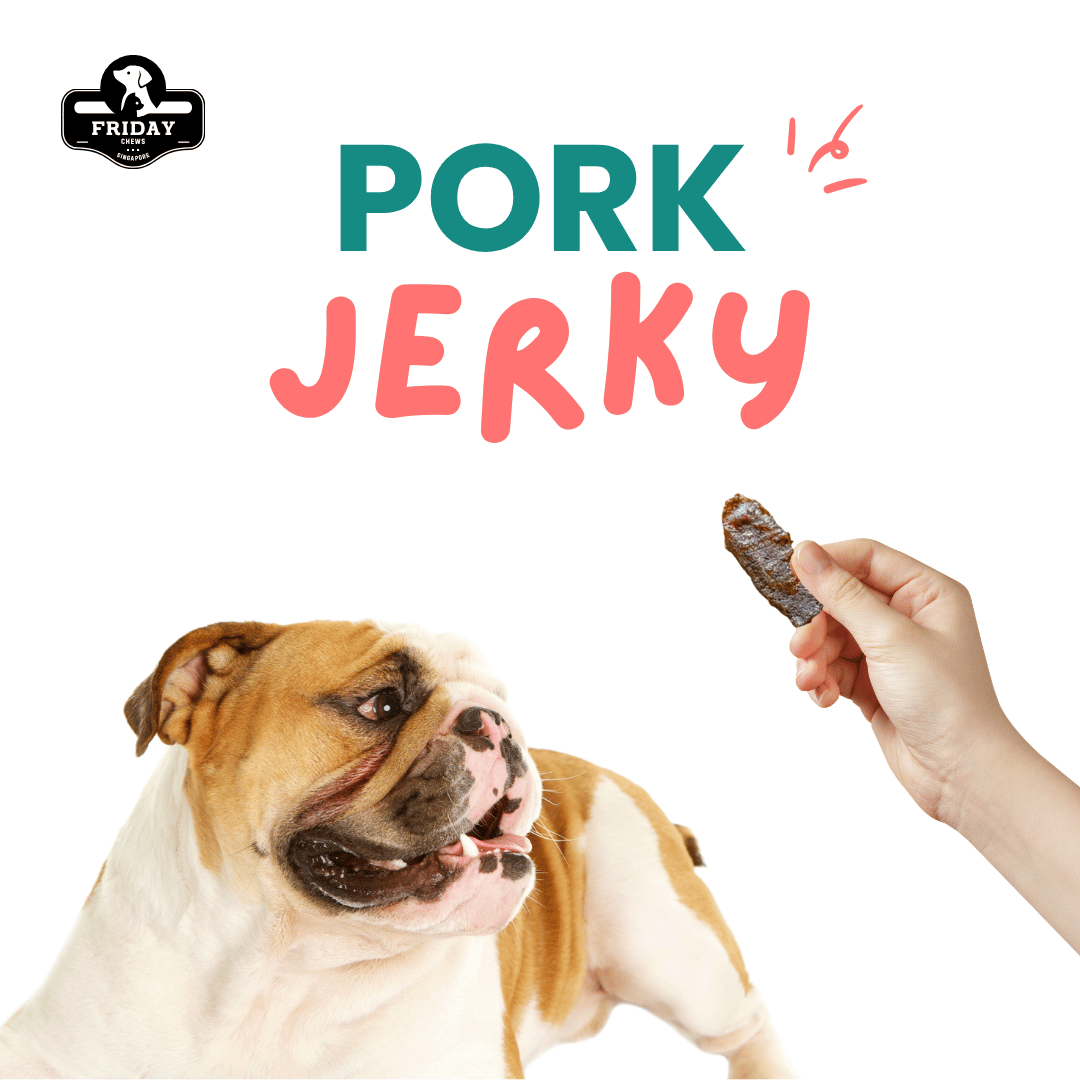 Dog looking at a piece of pork jerky held by a hand, with 'Pork Jerky' text and Friday brand logo.