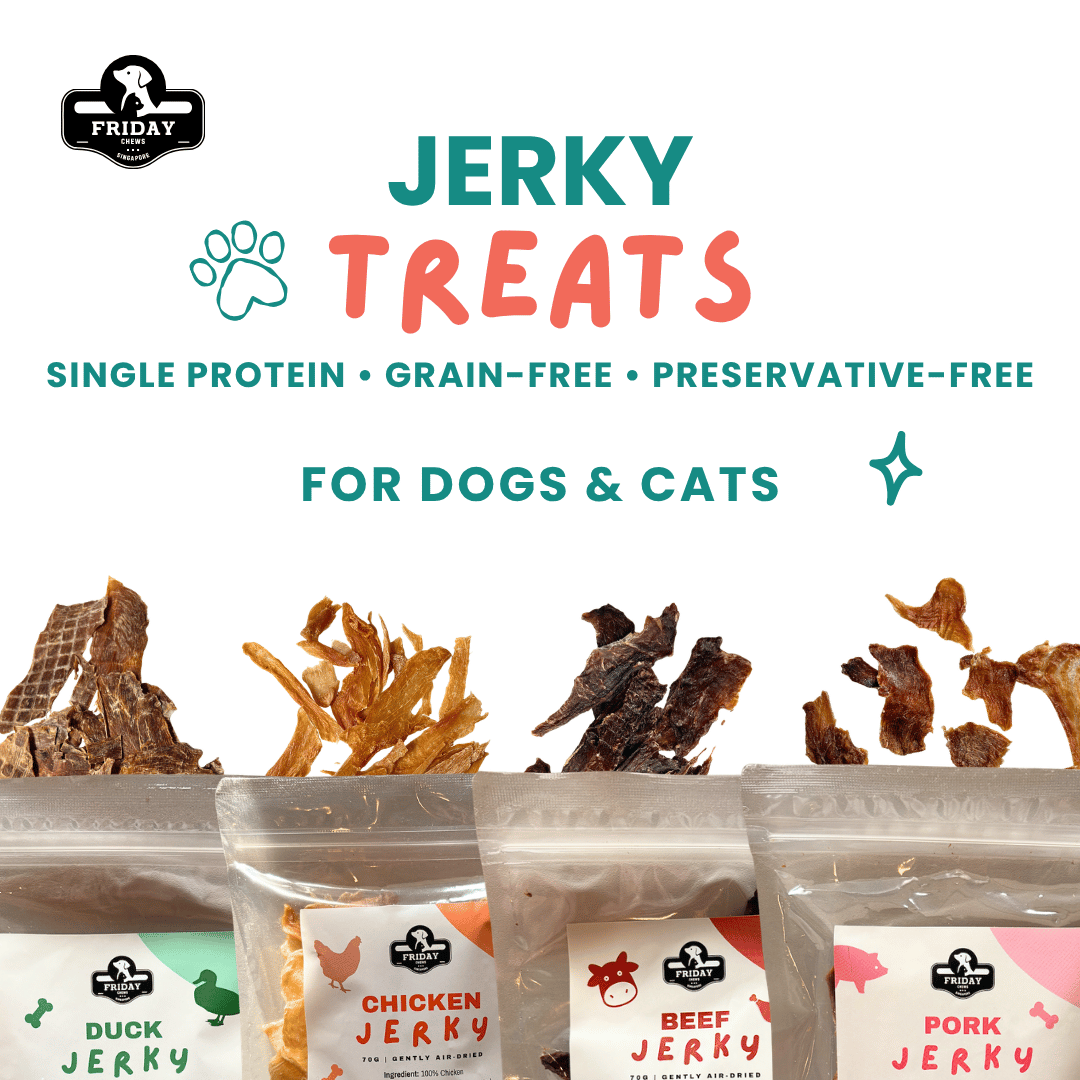 Jerky treats for dogs and cats with packaging on a white background