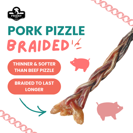 Friday Chews Dehydrated Pork Pizzle Braided for Dogs 1pc