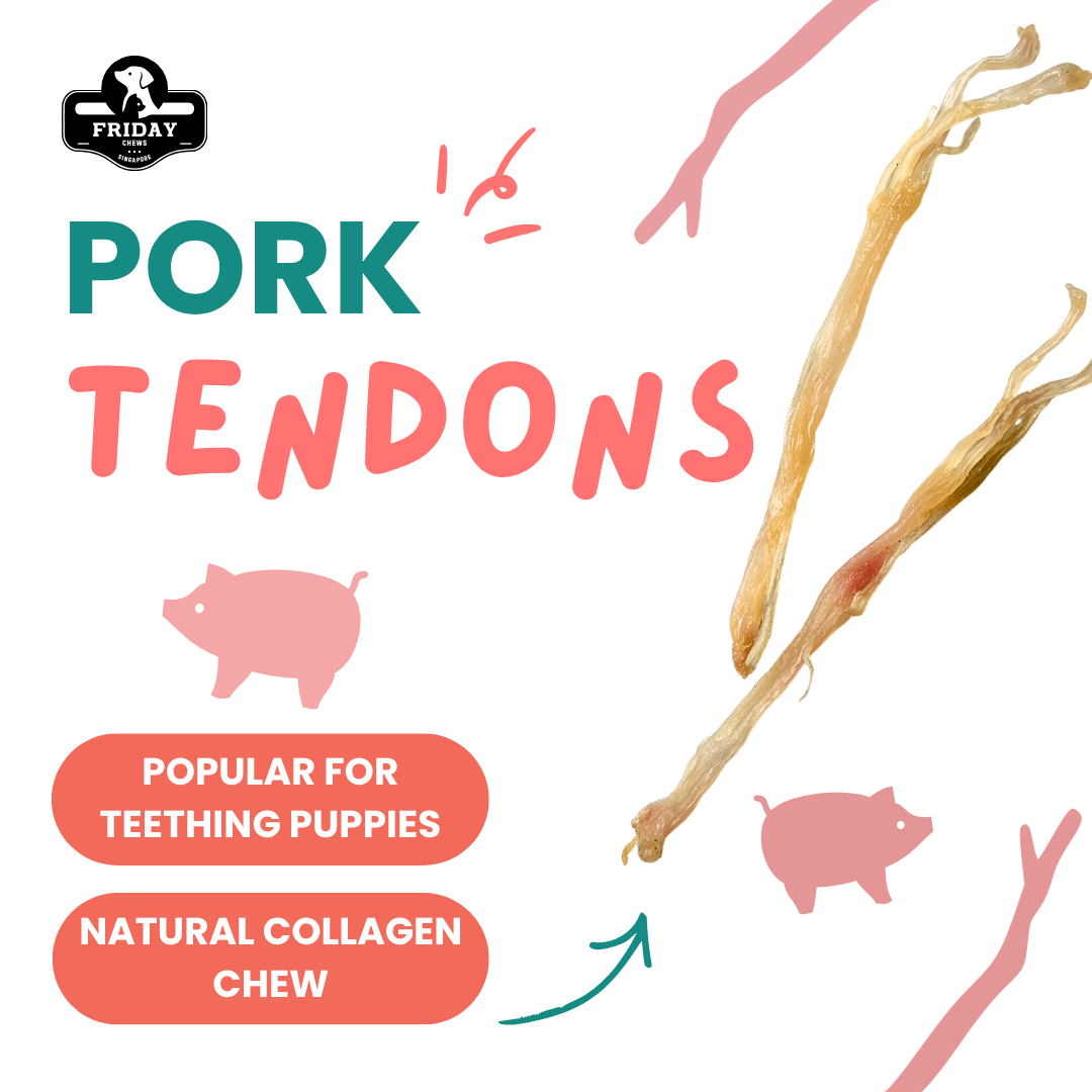 Dehydrated Pork Tendons for dogs with benefits - natural collagen