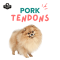 Dog holding a pork tendons 