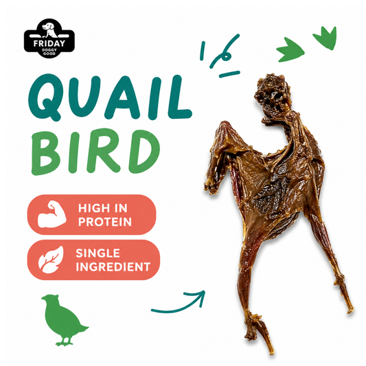 Friday Chews dehydrated Quail Bird for Dogs with ingredients