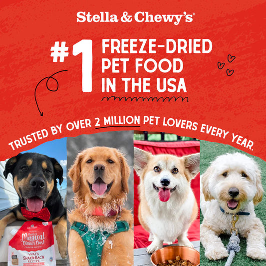 Stella & Chewy's Dog Freeze Dried Dinner Patties - Chewy's Chicken 14oz | 25oz