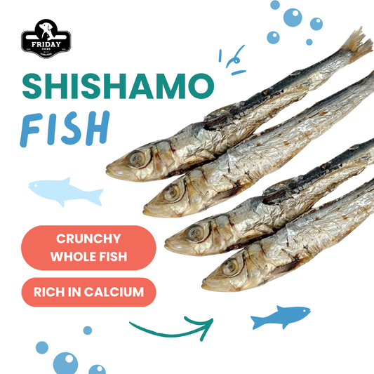 Friday Chews Shishamo — whole dehydrated Shishamo fish treats for dogs and cats  with benefits-rich in calcium