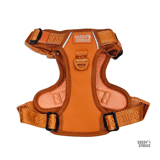 Sassy Snouts Signature Harness in Caramel (Gen 1.0)