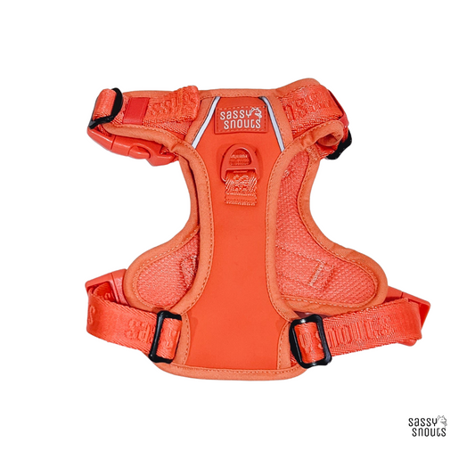 Sassy Snouts Signature Harness in Vermilion (Gen 1.0)