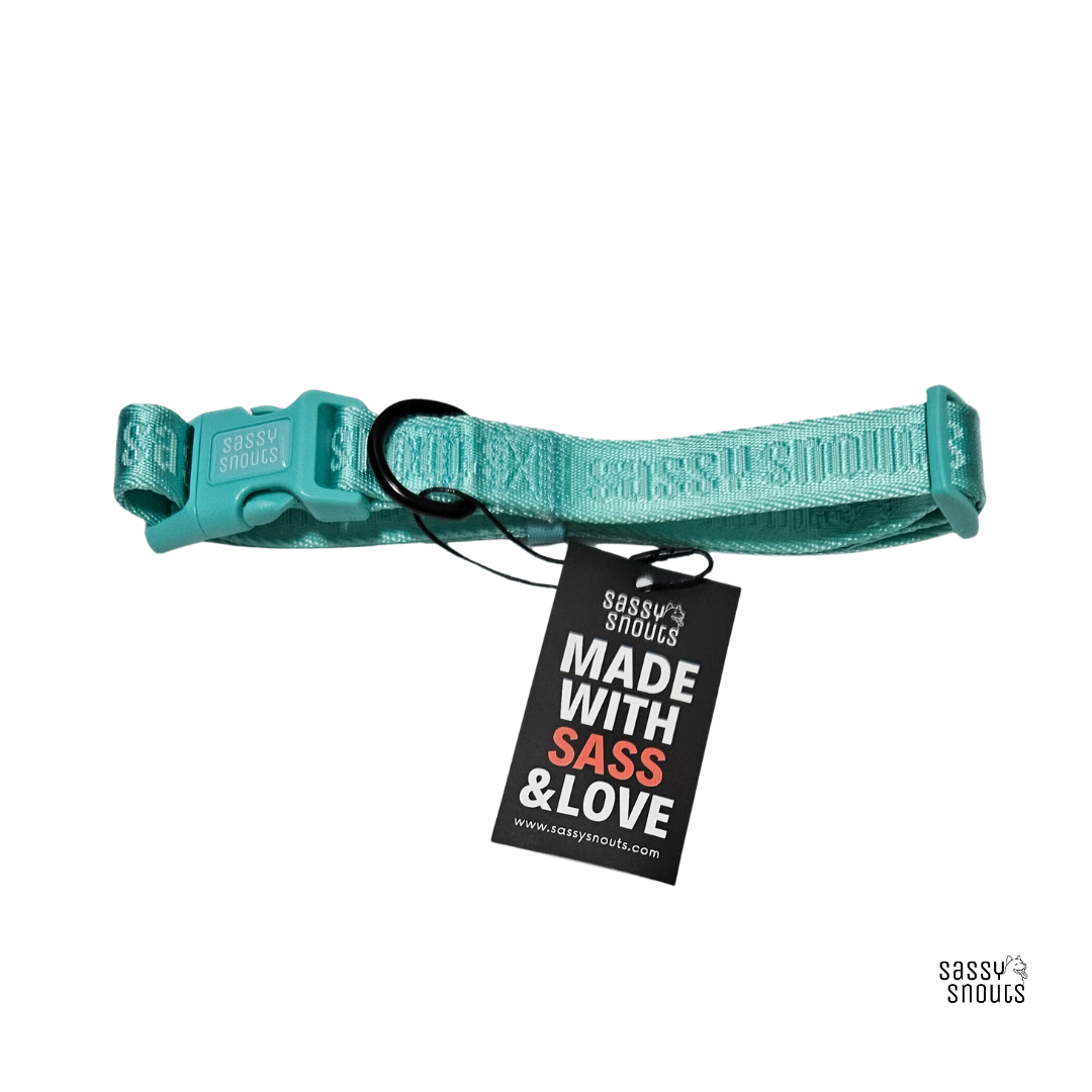 Sassy Snouts Signature Collar Turquoise | Sunflower 3 sizes