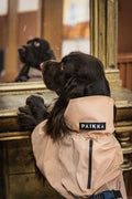 PAIKKA Visibility Raincoat Lite for Dogs in Taupe - Fully Reflective Waterproof Dog Raincoat with Harness Opening
