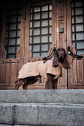 PAIKKA Visibility Raincoat Lite for Dogs in Taupe - Fully Reflective Waterproof Dog Raincoat with Harness Opening