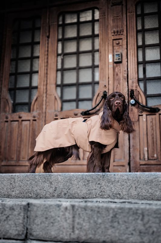 PAIKKA Visibility Raincoat Lite for Dogs in Taupe - Fully Reflective Waterproof Dog Raincoat with Harness Opening
