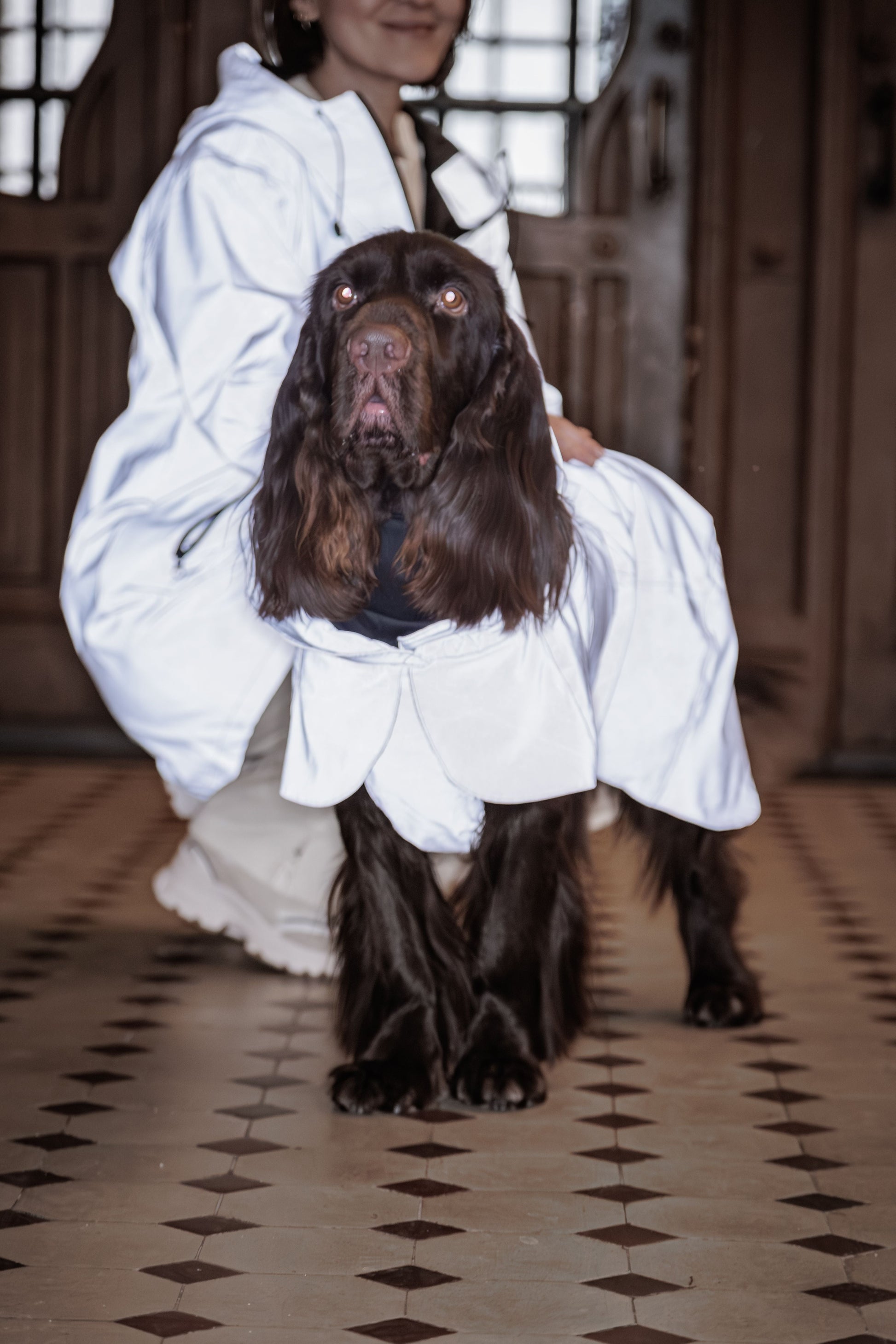 PAIKKA Visibility Raincoat Lite for Dogs in Taupe - Fully Reflective Waterproof Dog Raincoat with Harness Opening
