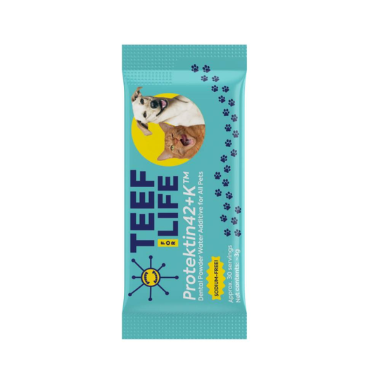 TEEF! Protektin42+K™ Dental & Kidney Care for Cats & Dogs Water Additive - Starter Kit, Refill Pouch