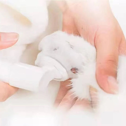 Kojima No-rinse Pet Paw Cleansing Foam 150ml