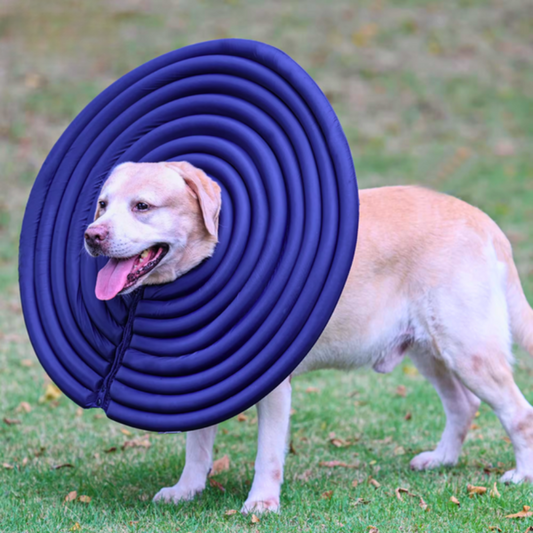 Soft Anti-Lick Pet Collar / Cone