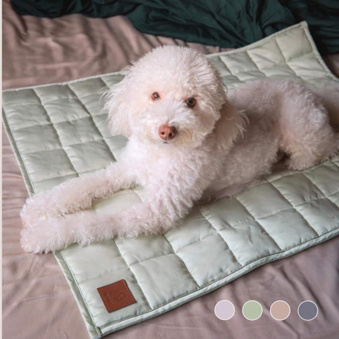 Dog resting on Komu Yuen bamboo cooling mat 