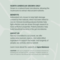 Adored Beast Turkey Tail supports immune health gut health and longevity