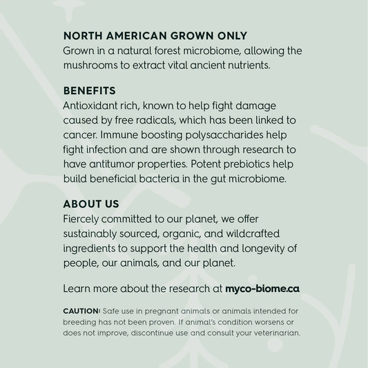 Adored Beast Turkey Tail supports immune health gut health and longevity