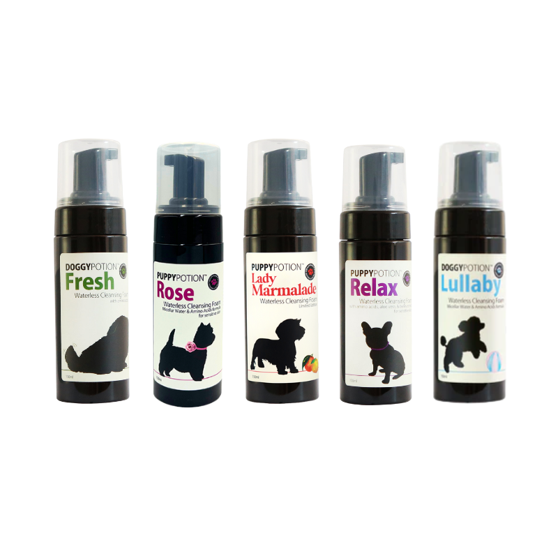 Doggy & Puppy Potion Cleansing Foam 150ml