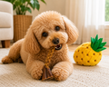  Dehydrated Duck Esophagus Braided dog treats lifestyle