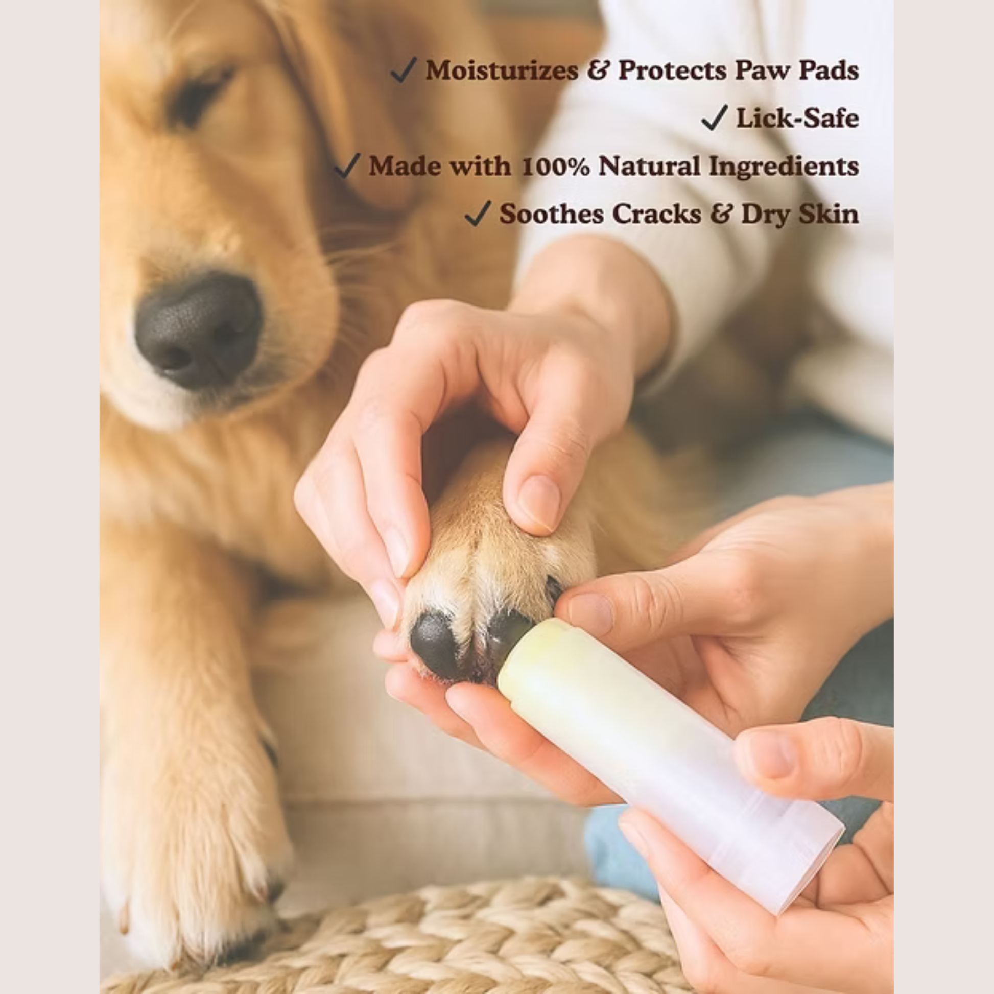 G-natural Paw and Nose Balm  on dog's paw