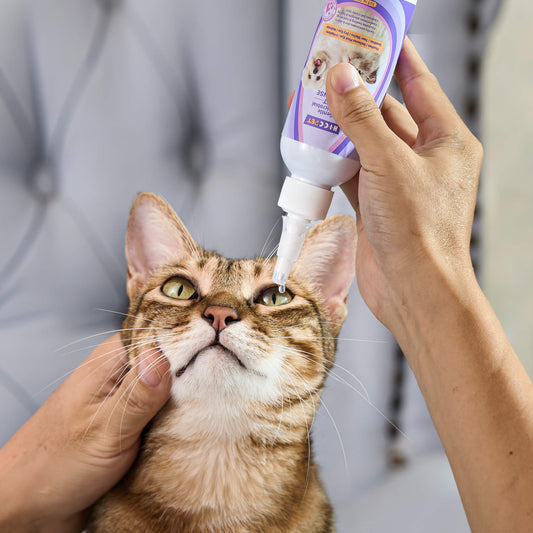 HICC Pet® Gentle Antimicrobial Eye Rinse for Dogs & Cats