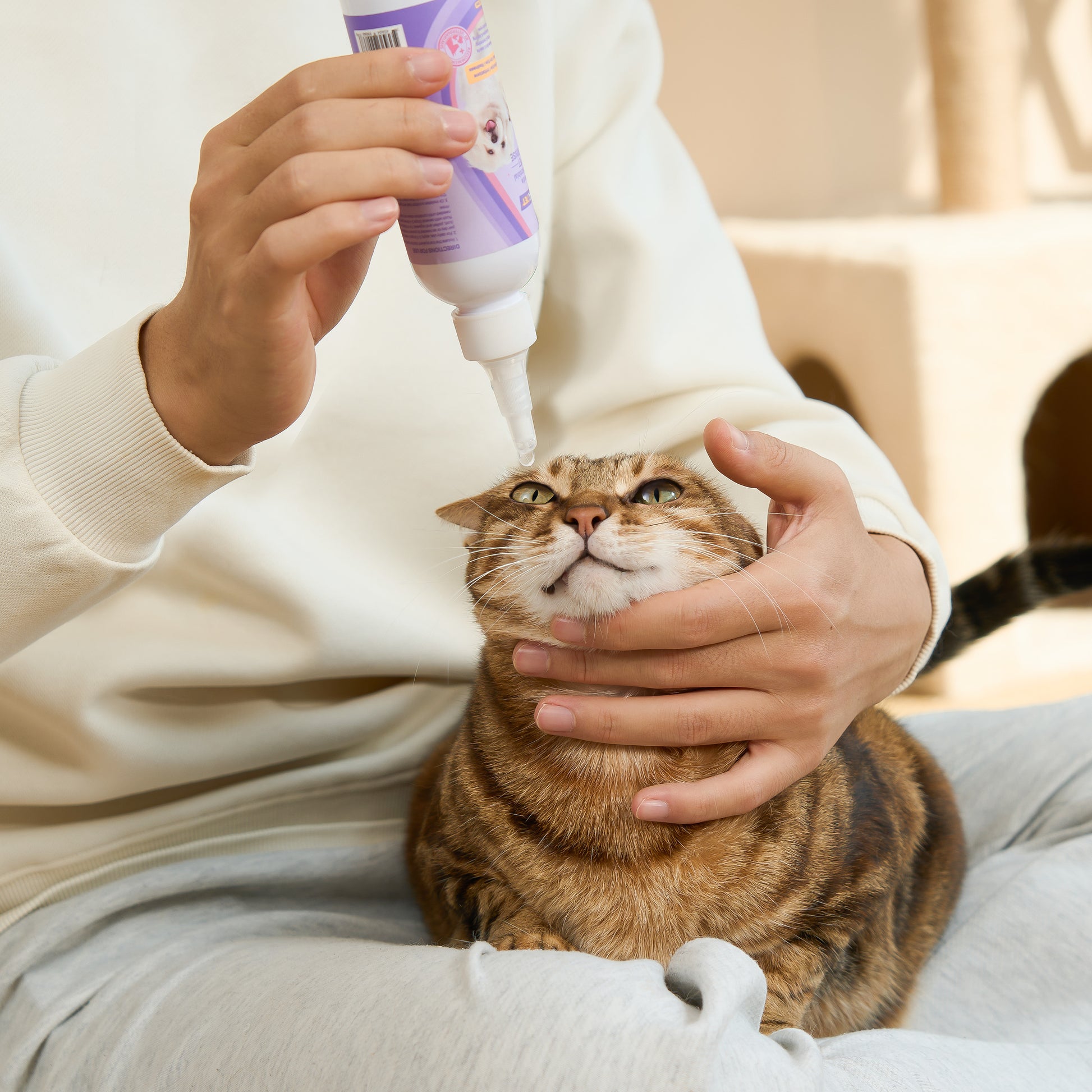 HICC Pet® Gentle Antimicrobial Eye Rinse for Dogs & Cats
