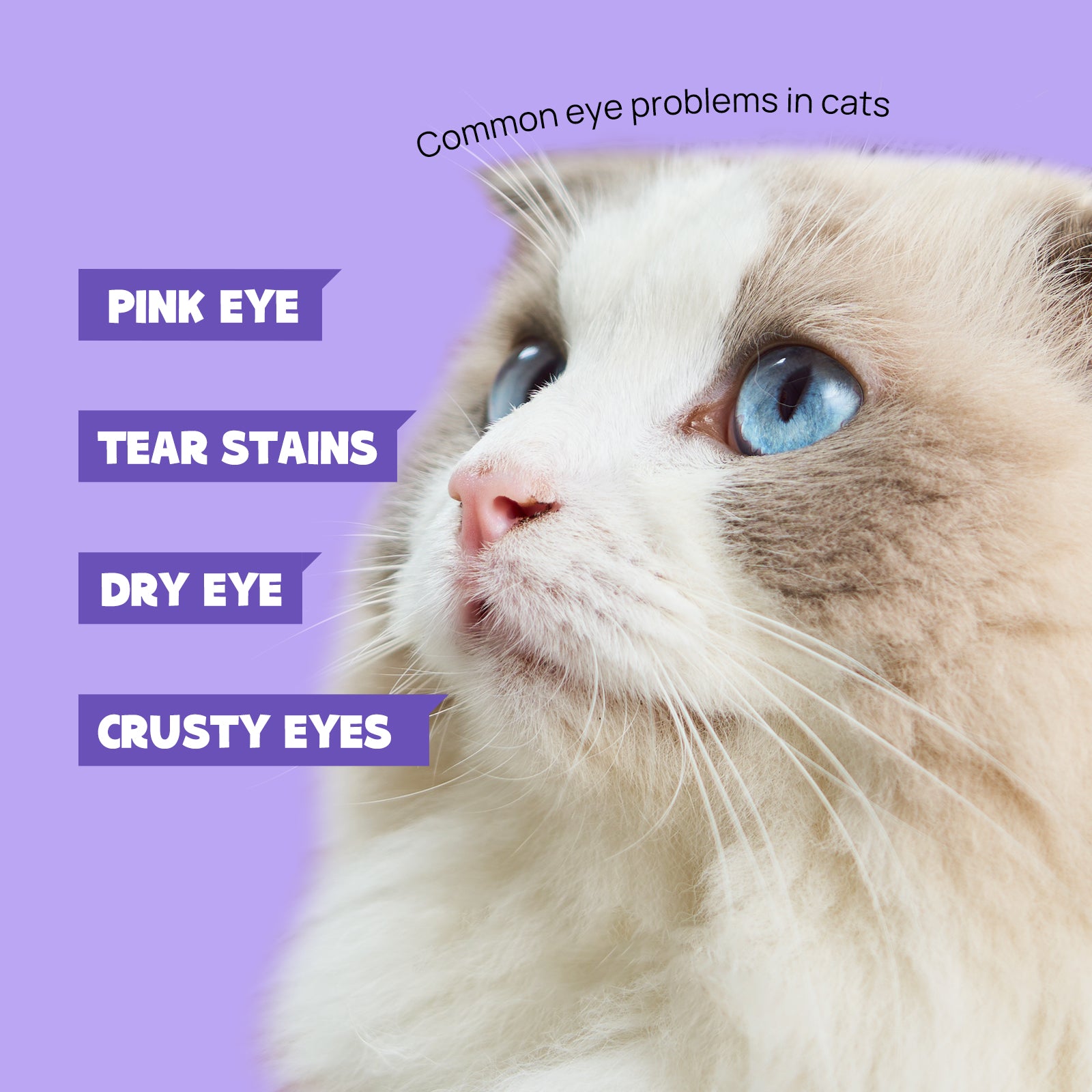 HICC Pet® Gentle Antimicrobial Eye Rinse for Dogs & Cats
