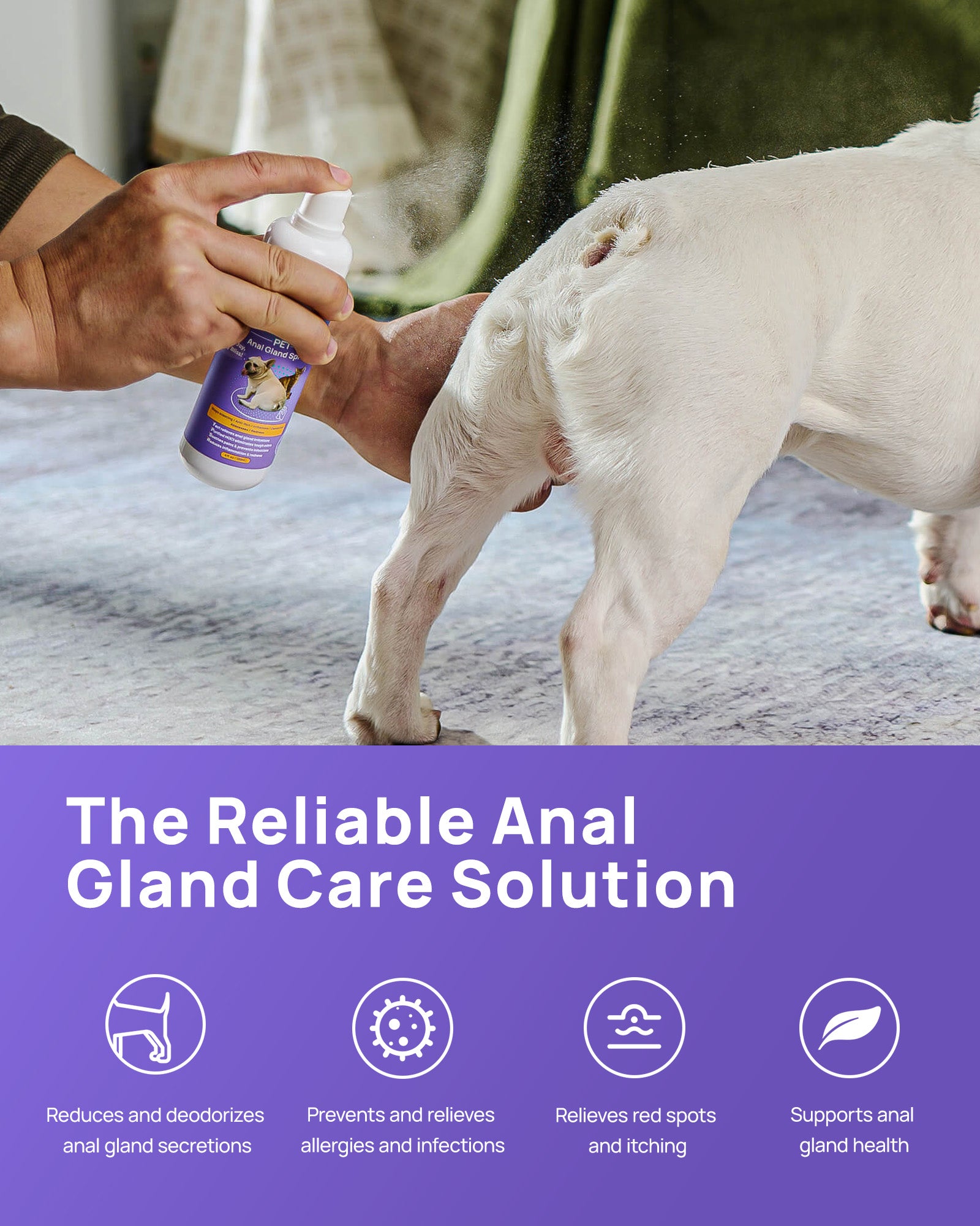 HICC Pet® Antimicrobial Anal Gland Spray for Dogs & Cats