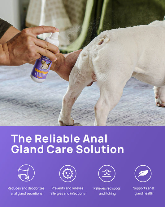 HICC Pet® Antimicrobial Anal Gland Spray for Dogs & Cats