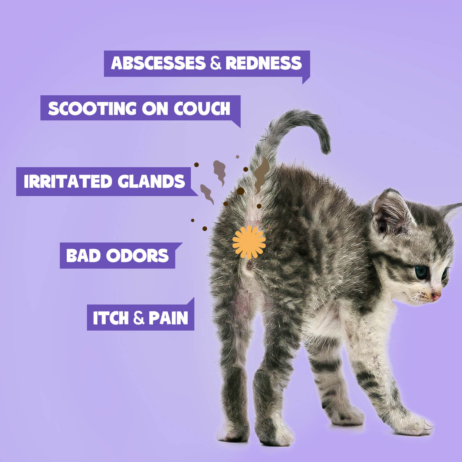 HICC Pet® Antimicrobial Anal Gland Spray for Dogs & Cats