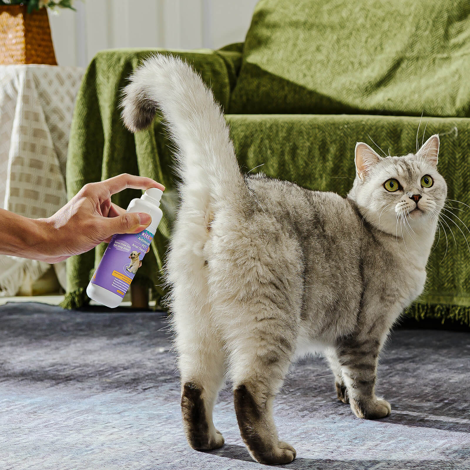 HICC Pet® Antimicrobial Anal Gland Spray for Dogs & Cats