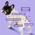 HICC Pet® Antimicrobial Anal Gland Spray for Dogs & Cats