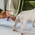 HICC Pet® Antimicrobial Anal Gland Spray for Dogs & Cats