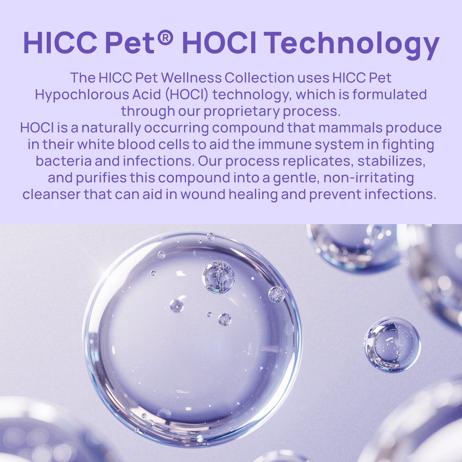 HICC Pet® Antimicrobial Hydro Gel for Dogs & Cats