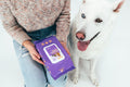 HICC Pet® Deodorizing Glove Wipes for Dogs & Cats
