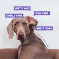 HICC Pet® Ear Rinse for Dogs & Cats