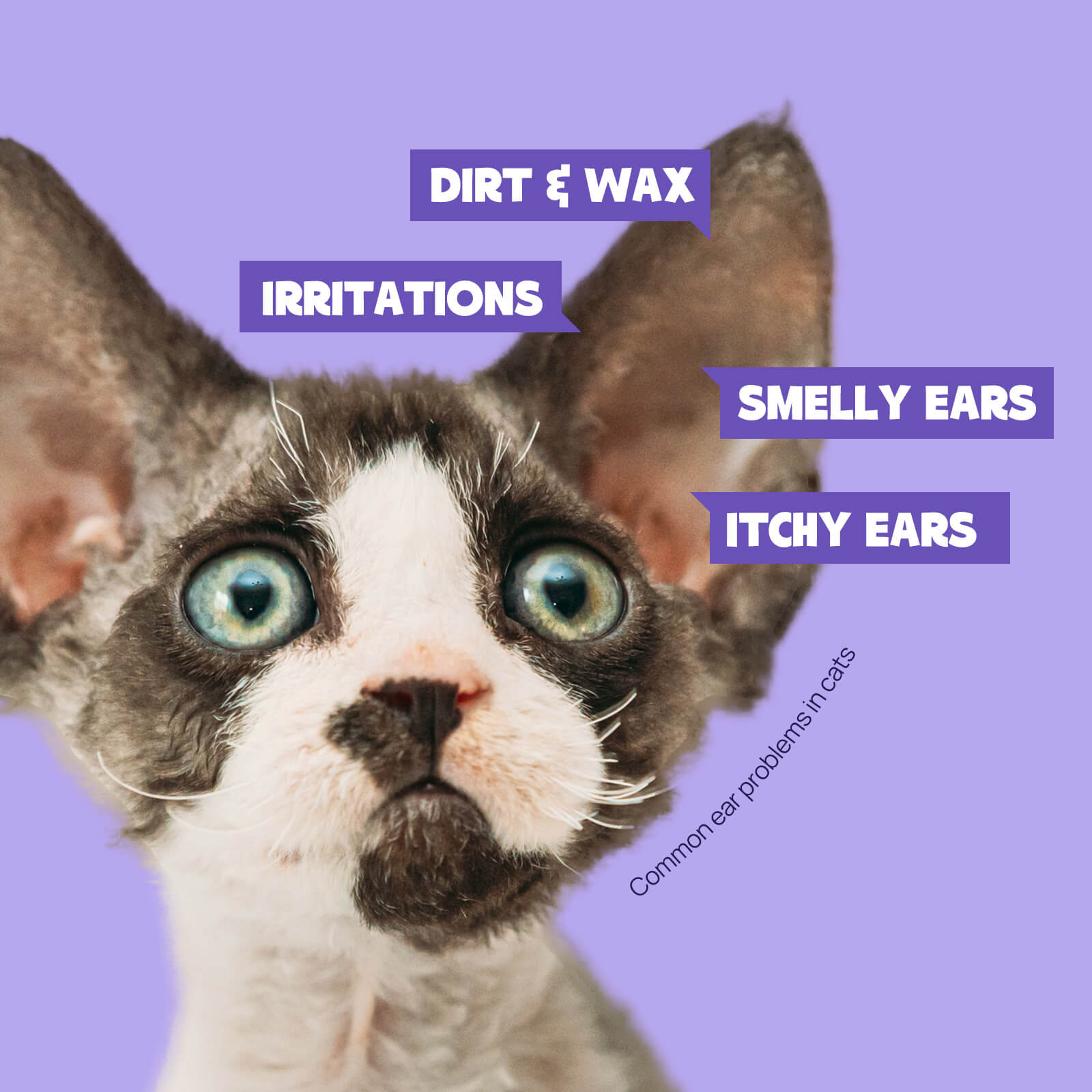 HICC Pet® Ear Rinse for Dogs & Cats