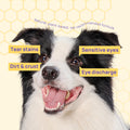 HICC Pet® Hypoallergenic Eye Wipes for Dogs & Cats