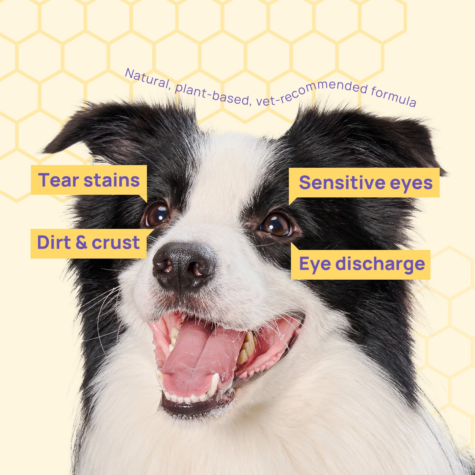 HICC Pet® Hypoallergenic Eye Wipes for Dogs & Cats