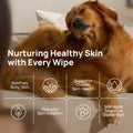 HICC Pet® Itch Relief Wipes for Dogs & Cats — 100pcs (Unscented)