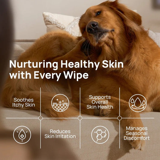 HICC Pet® Itch Relief Wipes for Dogs & Cats — 100pcs (Unscented)