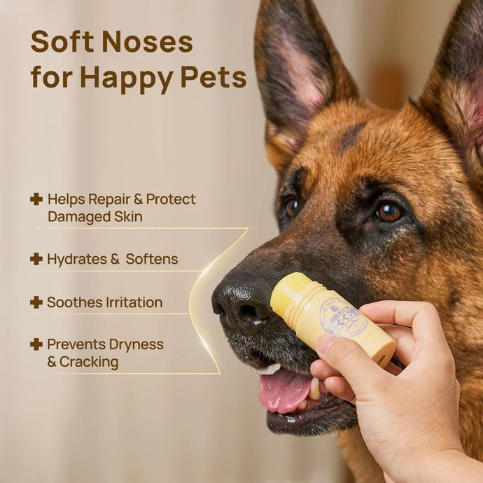 HICC Pet® Nose Butter for Dogs & Cats
