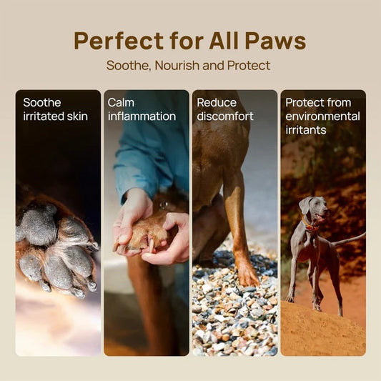 HICC Pet® Paw Butter for Dogs & Cats